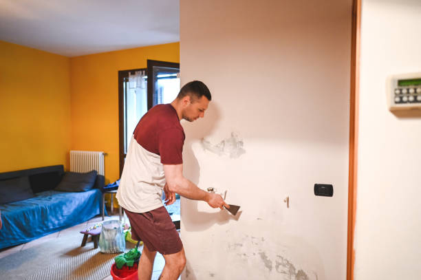 Best Mold Remediation for Specific Building Types in Aviston, IL